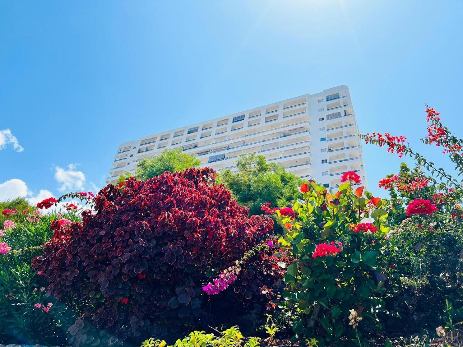 Luxury Kim Apartment, Ocean View&Wifi Free Playa Paraiso  Exterior foto
